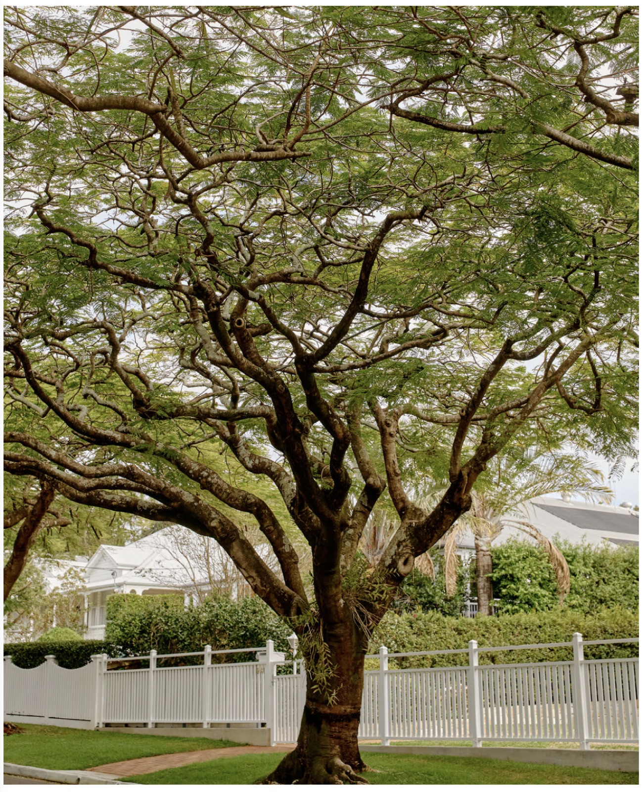 Lynsford by Fortis in Hamilton, photo 4
