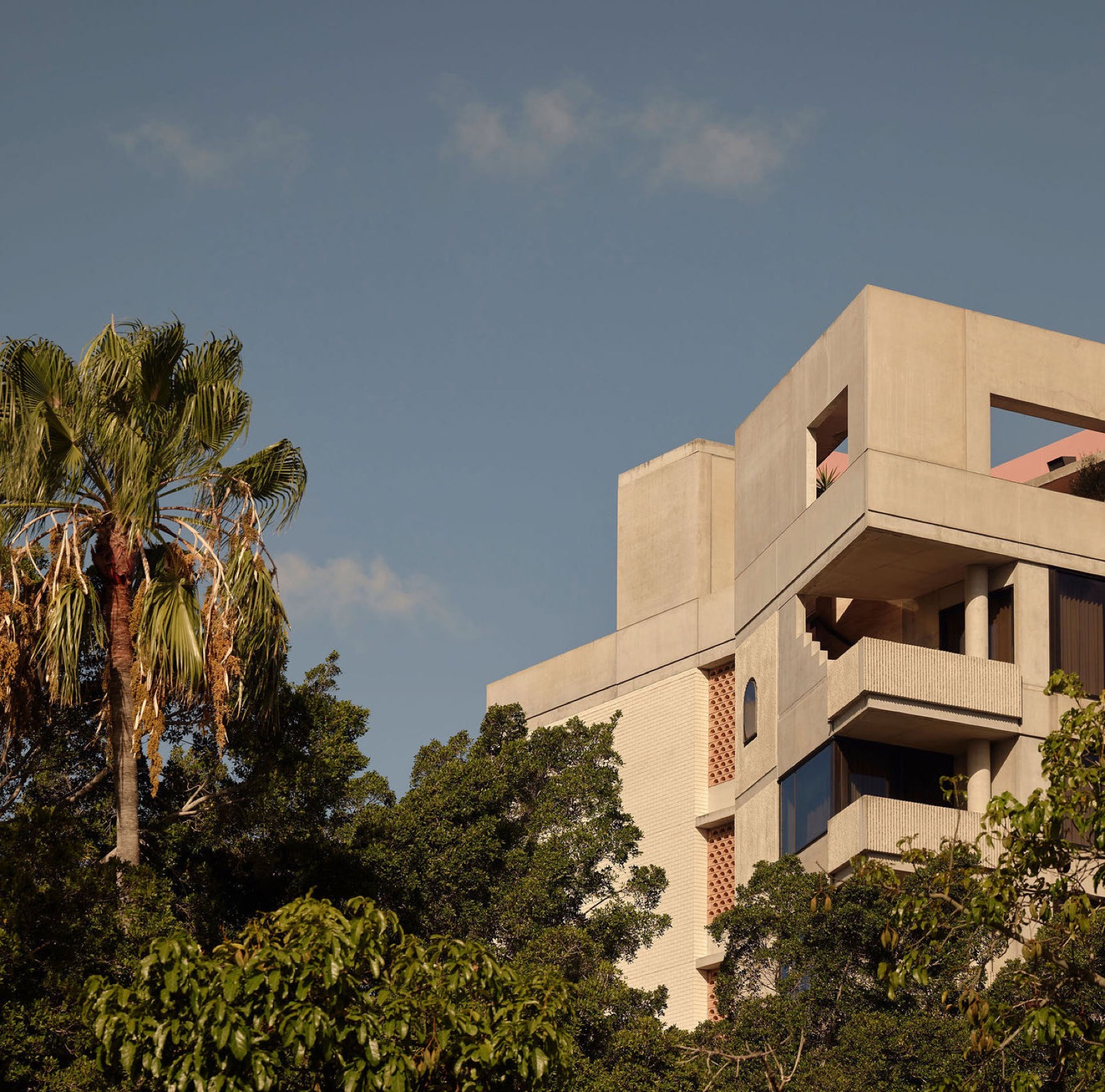 Crest and Walker in Newstead, photo 4
